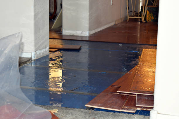Professional Basement Flooding technician working in Urbana, IL